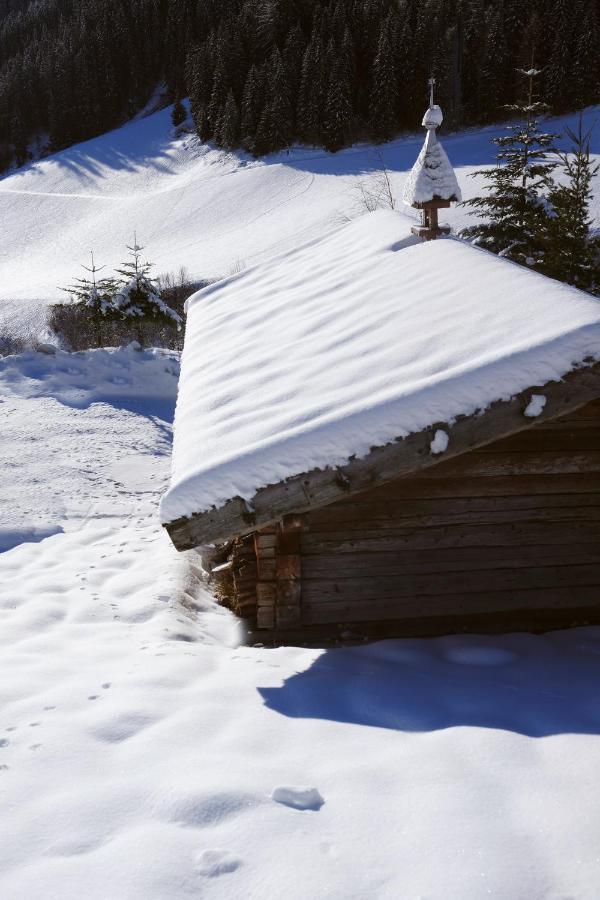 Unterlutaschg-Chalet Appartement Am Hof Slingia Cameră foto